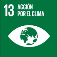 13. Acción por el clima 