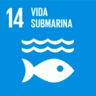 14. Vida submarina 