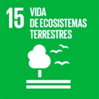 15. Vida de ecosistemas terrestres 